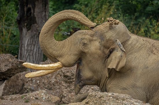 Münchener Tierpark Hellabrunn